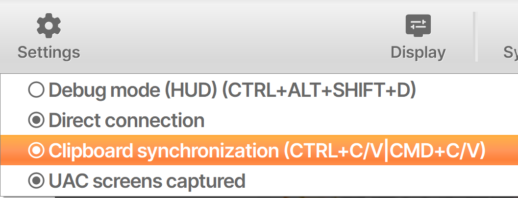 Enabling clipboard synchronization