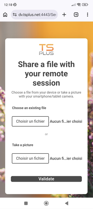 Screenshot